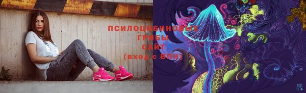 спайс Богородицк