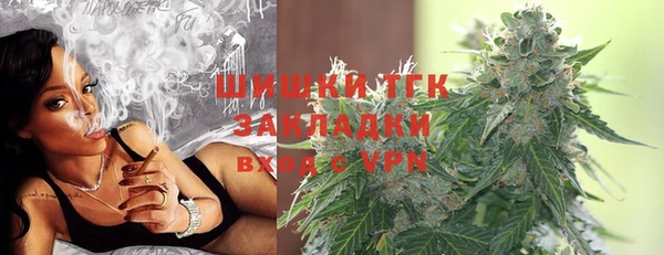 стафф Гусев