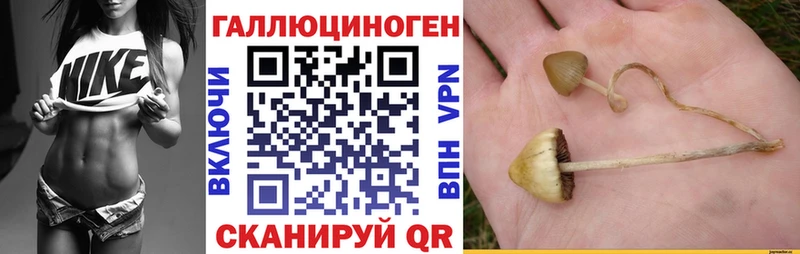 Псилоцибиновые грибы мухоморы  Маркс 