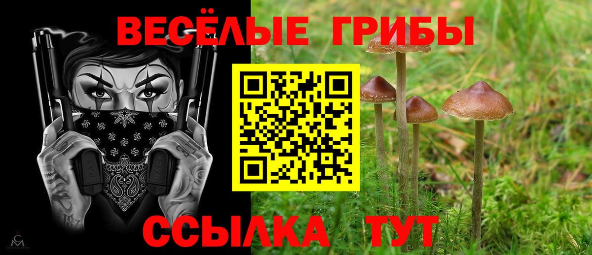Галлюциногенные грибы Psilocybine cubensis  Вход с VPN  где найти наркотики  Маркс 