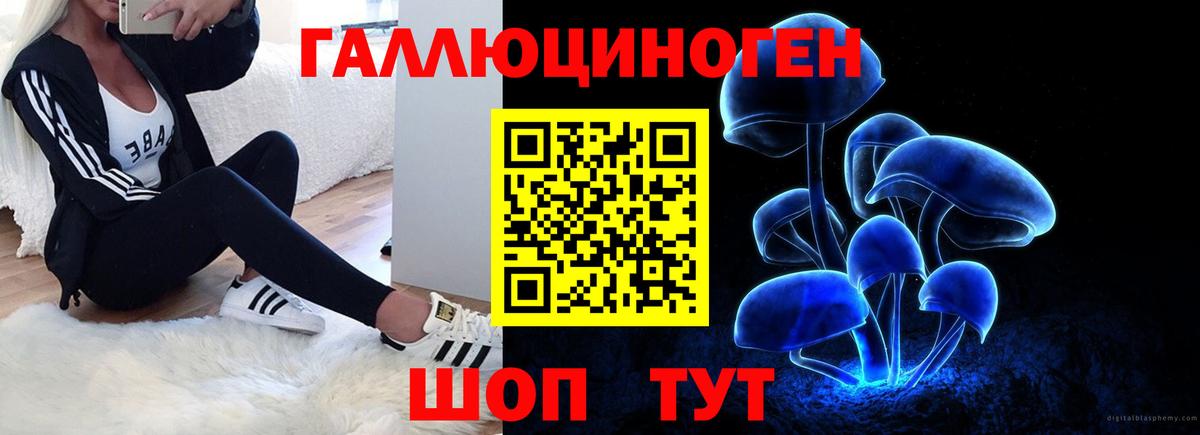 Галлюциногенные грибы прущие грибы Маркс